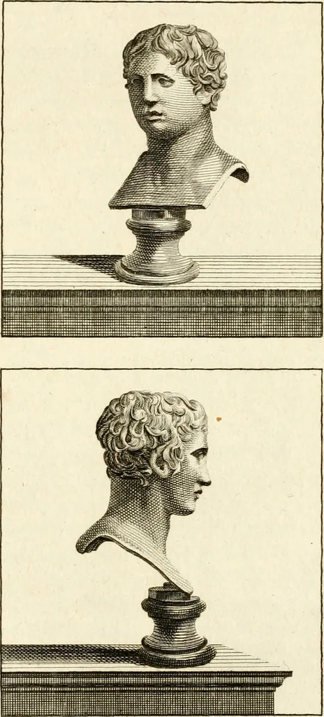 An illustration from Les antiquités d'Herculanum : avec leurs explications en françois, 1780, leaf 126
