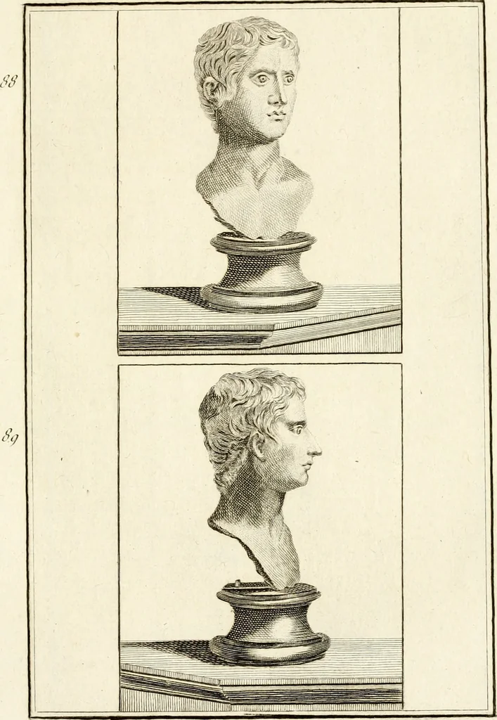 An illustration from Les antiquités d'Herculanum : avec leurs explications en françois, 1780, leaf 138