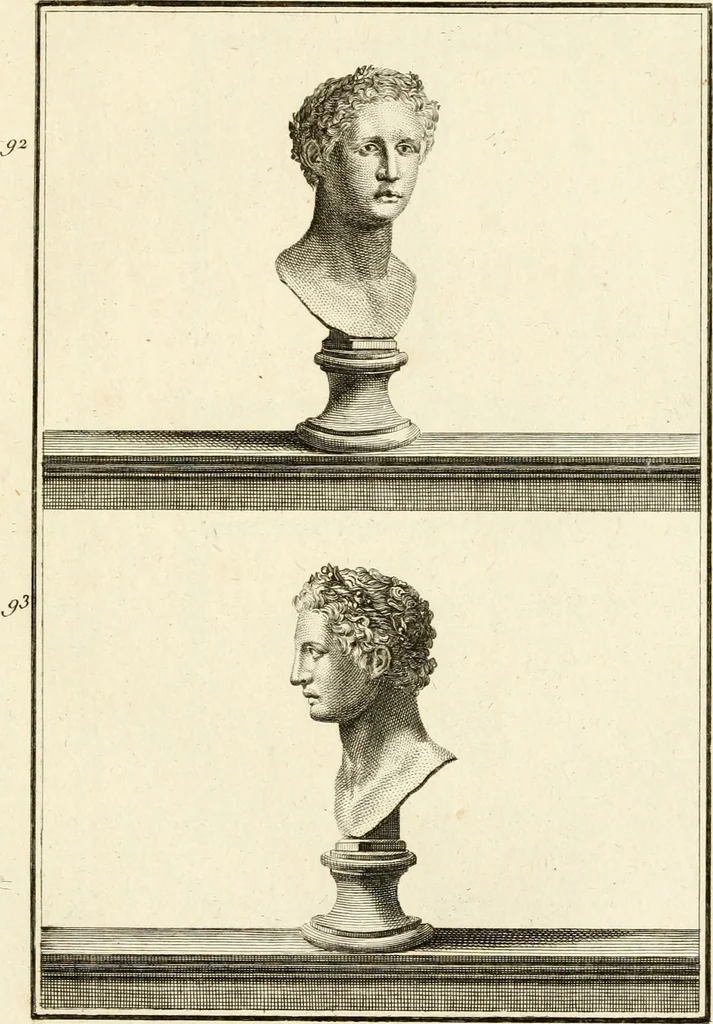An illustration from Les antiquités d'Herculanum : avec leurs explications en françois, 1780, leaf 144