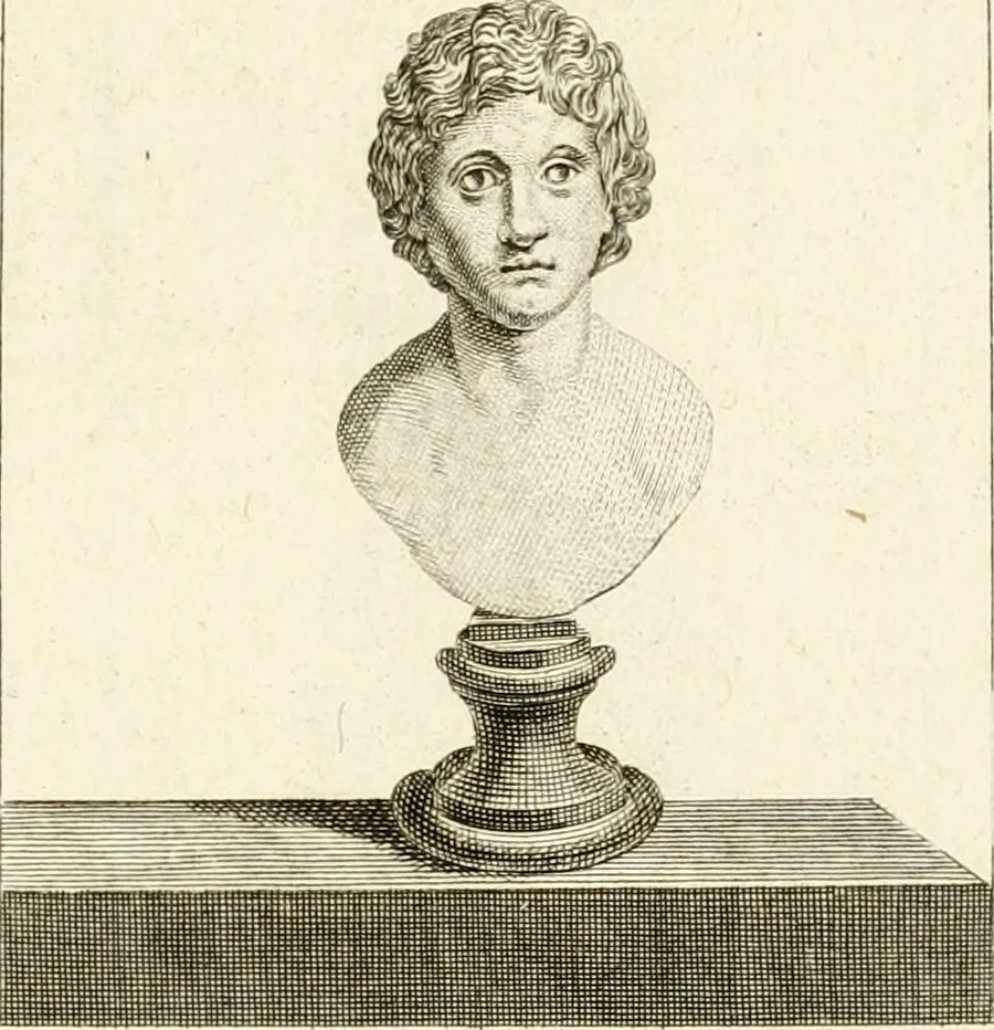 An illustration from Les antiquités d'Herculanum : avec leurs explications en françois, 1780, leaf 154
