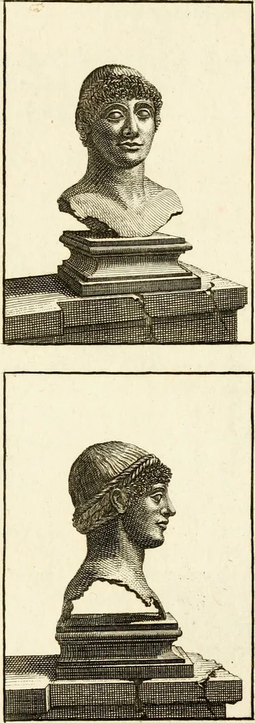 An illustration from Les antiquités d'Herculanum : avec leurs explications en françois, 1780, leaf 156