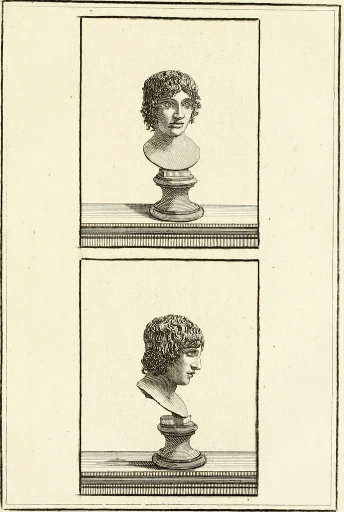 An illustration from Les antiquités d'Herculanum : avec leurs explications en françois, 1780, leaf 160