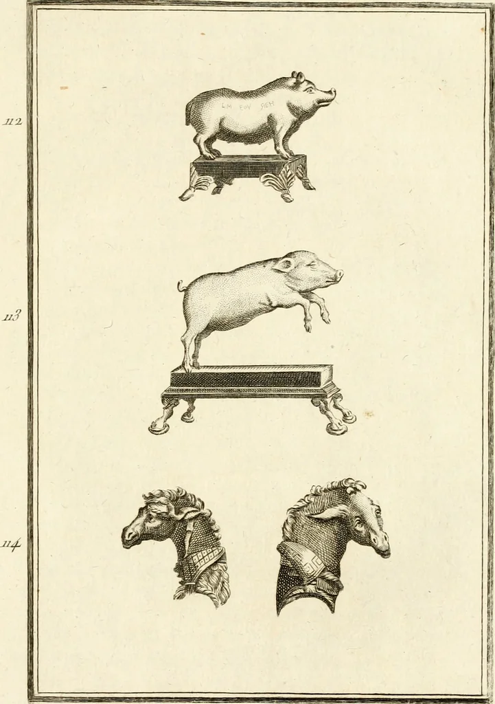 An illustration from Les antiquités d'Herculanum : avec leurs explications en françois, 1780, leaf 178