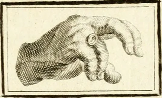 An illustration from Les antiquités d'Herculanum : avec leurs explications en françois, 1780, leaf 212