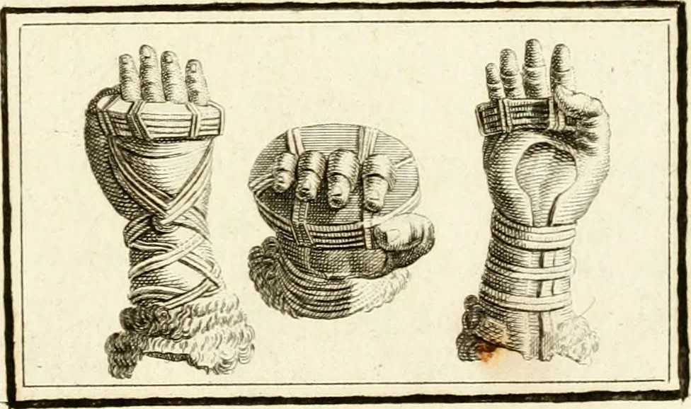 An illustration from Les antiquités d'Herculanum : avec leurs explications en françois, 1780, leaf 212