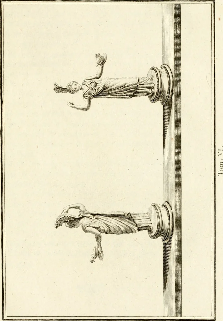 An illustration from Les antiquités d'Herculanum : avec leurs explications en françois, 1780, leaf 218
