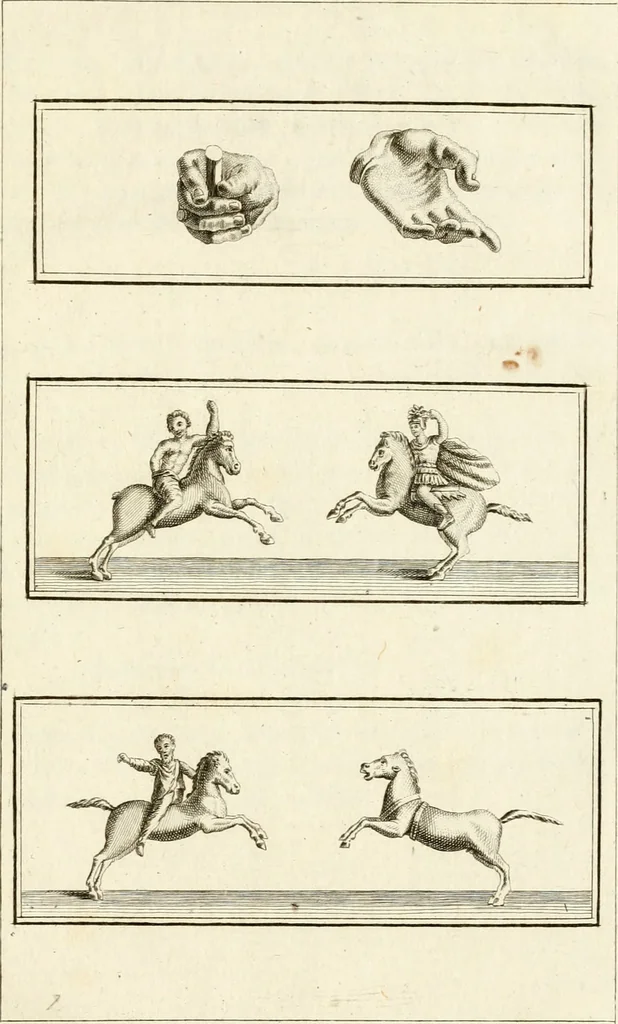 An illustration from Les antiquités d'Herculanum : avec leurs explications en françois, 1780, leaf 226