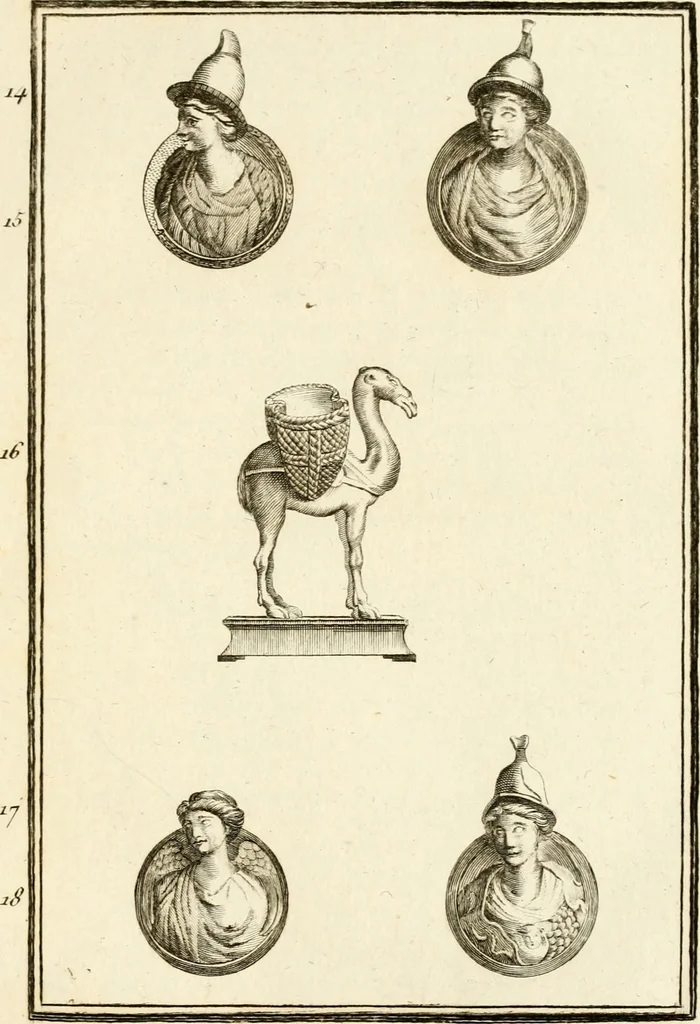 An illustration from Les antiquités d'Herculanum : avec leurs explications en françois, 1780, leaf 38