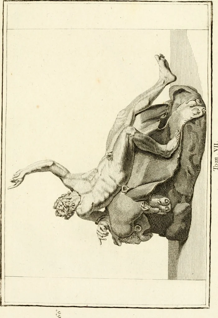 An illustration from Les antiquités d'Herculanum : avec leurs explications en françois, 1780, leaf 106