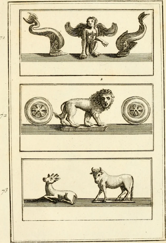 An illustration from Les antiquités d'Herculanum : avec leurs explications en françois, 1780, leaf 118