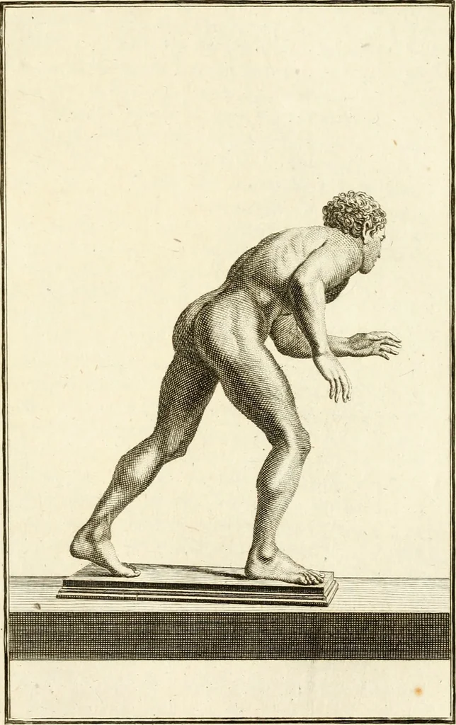 An illustration from Les antiquités d'Herculanum : avec leurs explications en françois, 1780, leaf 154