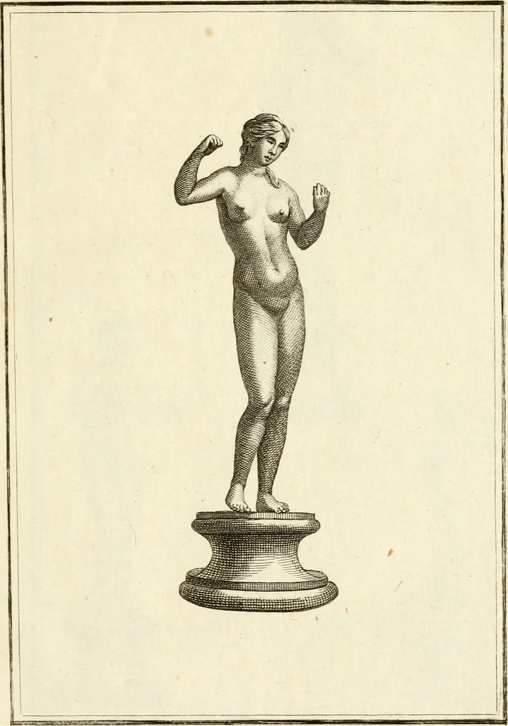 An illustration from Les antiquités d'Herculanum : avec leurs explications en françois, 1780, leaf 16