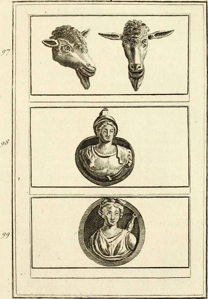 An illustration from Les antiquités d'Herculanum : avec leurs explications en françois, 1780, leaf 170