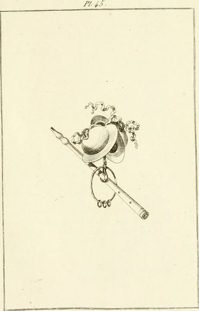 An illustration from Les antiquités d'Herculanum : avec leurs explications en françois, 1780, leaf 136
