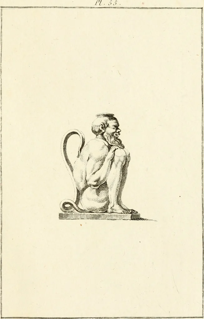 An illustration from Les antiquités d'Herculanum : avec leurs explications en françois, 1780, leaf 162