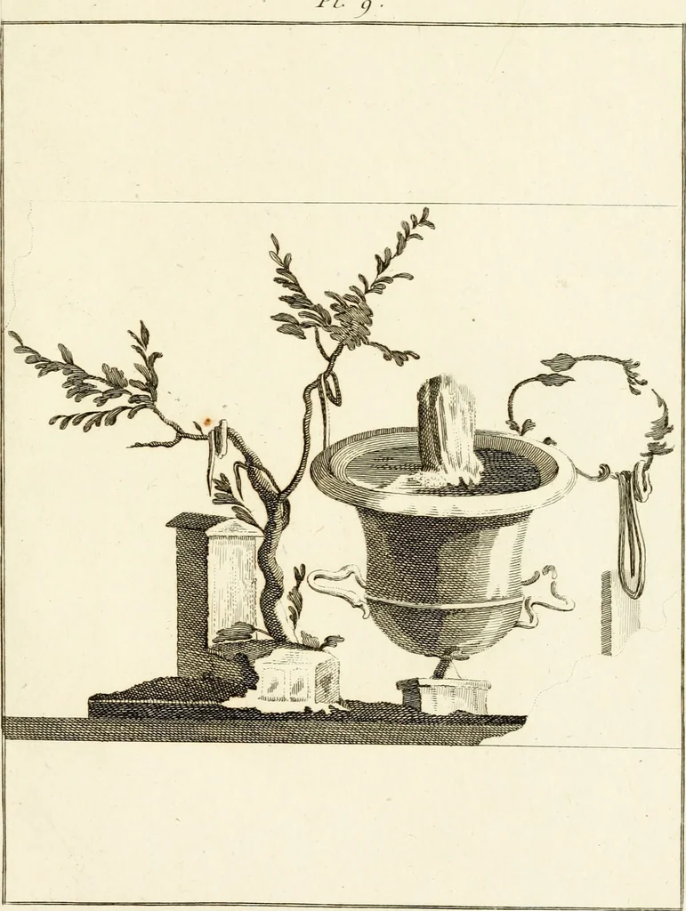 An illustration from Les antiquités d'Herculanum : avec leurs explications en françois, 1780, leaf 36