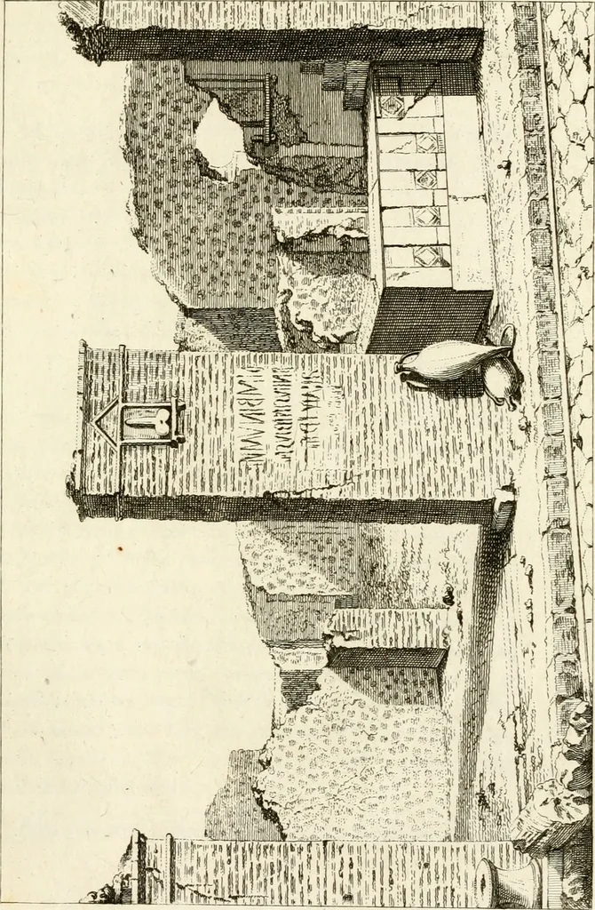 An illustration from Les antiquités d'Herculanum : avec leurs explications en françois, 1780, leaf 44