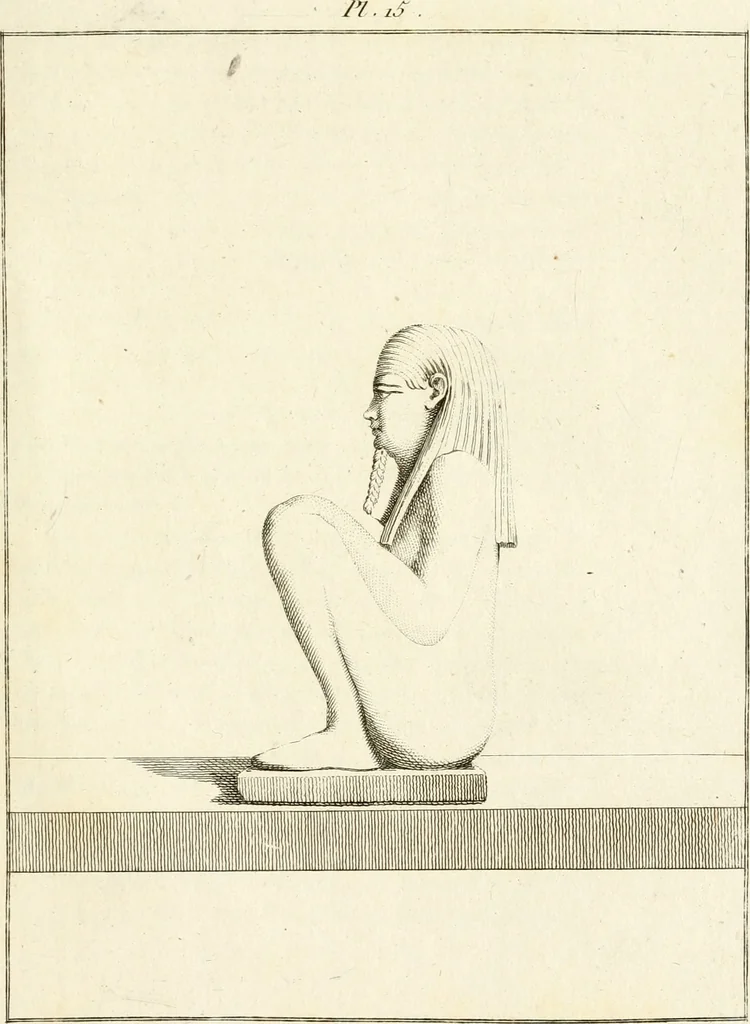 An illustration from Les antiquités d'Herculanum : avec leurs explications en françois, 1780, leaf 56