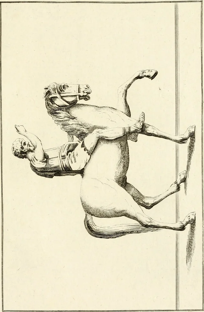 An illustration from Les antiquités d'Herculanum : avec leurs explications en françois, 1780, leaf 66
