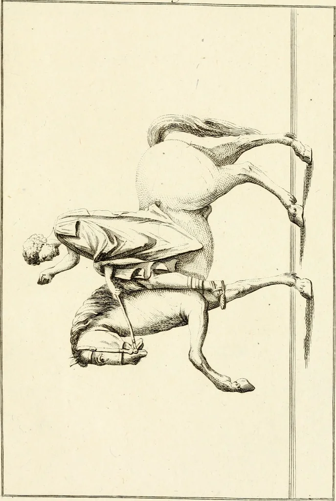 An illustration from Les antiquités d'Herculanum : avec leurs explications en françois, 1780, leaf 70