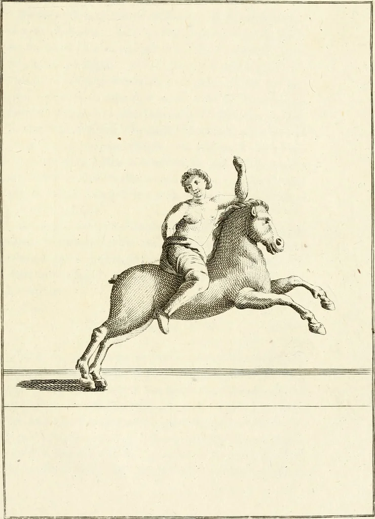 An illustration from Les antiquités d'Herculanum : avec leurs explications en françois, 1780, leaf 74