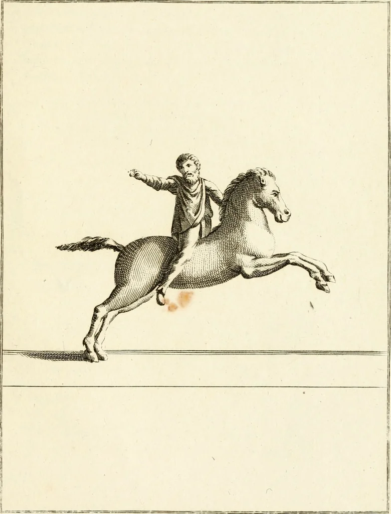 An illustration from Les antiquités d'Herculanum : avec leurs explications en françois, 1780, leaf 78