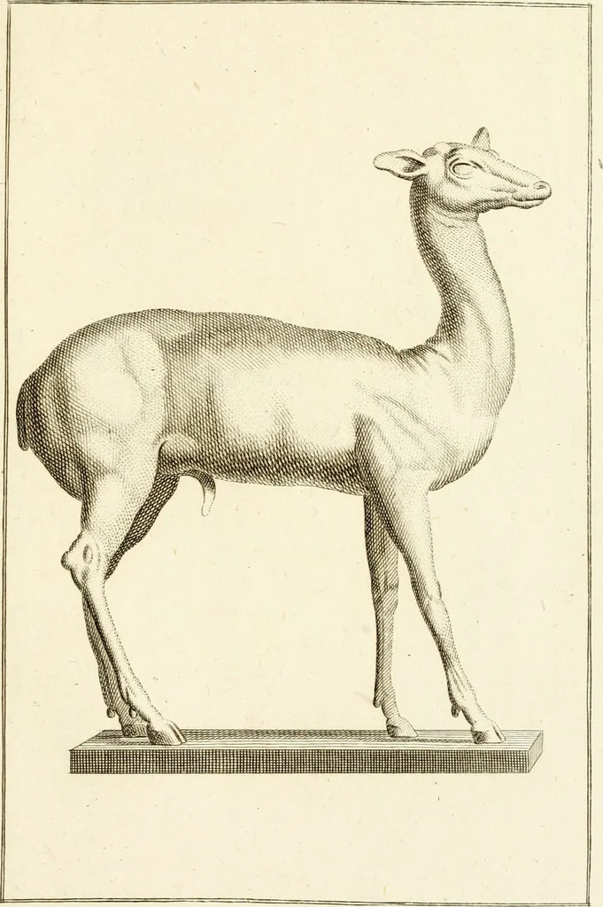 An illustration from Les antiquités d'Herculanum : avec leurs explications en françois, 1780, leaf 86