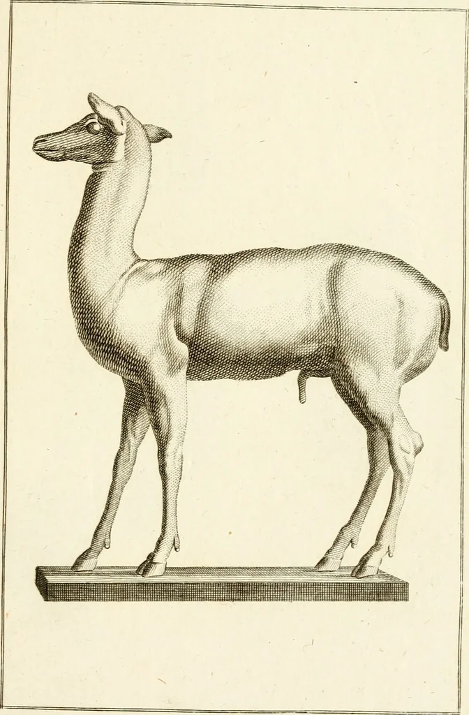An illustration from Les antiquités d'Herculanum : avec leurs explications en françois, 1780, leaf 88