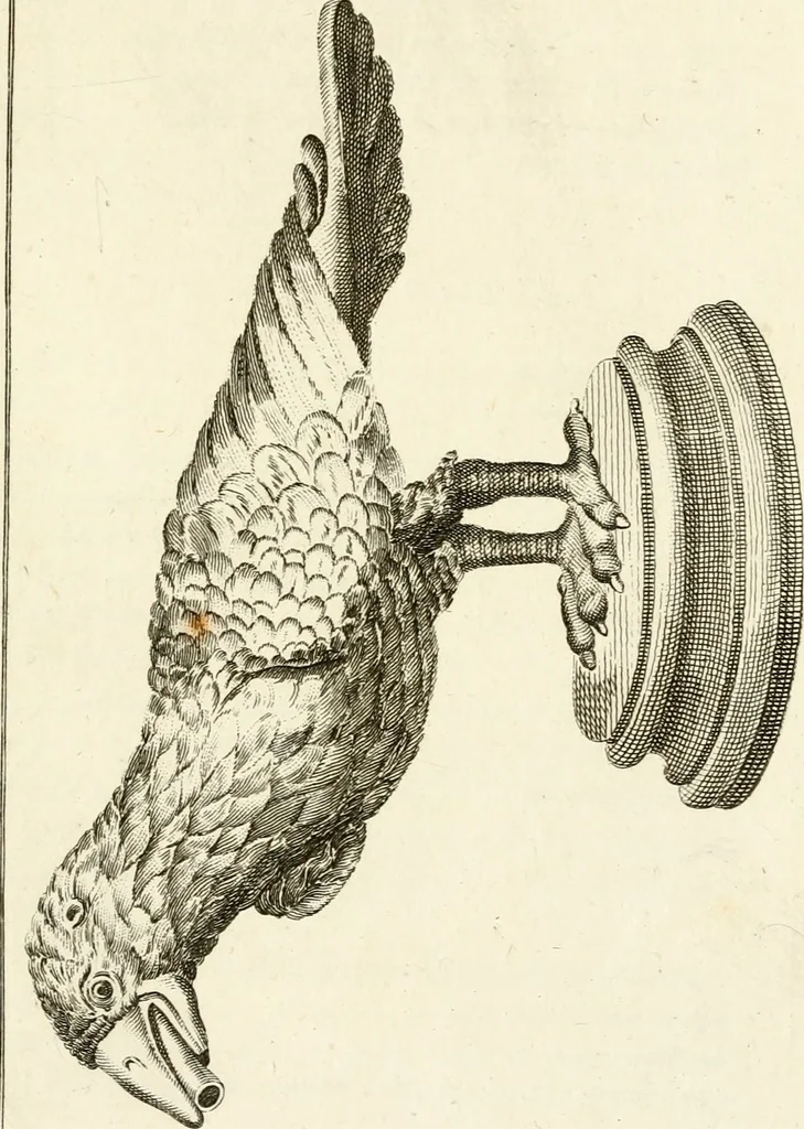 An illustration from Les antiquités d'Herculanum : avec leurs explications en françois, 1780, leaf 90