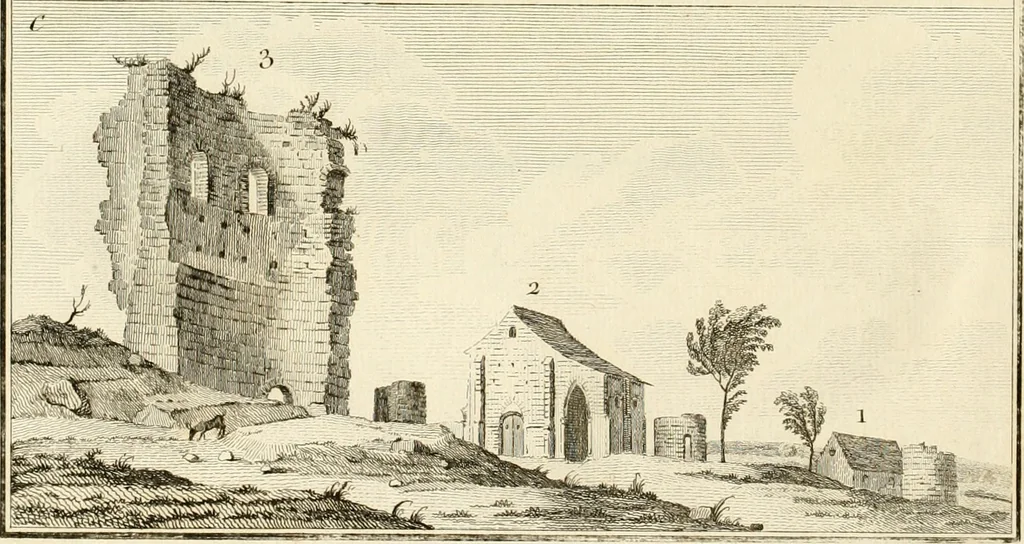 An illustration from Antiquités nationales, ou, Recueil de monumens : pour servir à l'histoire générale et particulière de l'empire françois, tels que tombeaux, inscriptions, statues, vitraux, fresques, etc. : tirés des abbayes, monastères, châteaux, et autres lieux devenus domaines nationaux, 1790, leaf 201