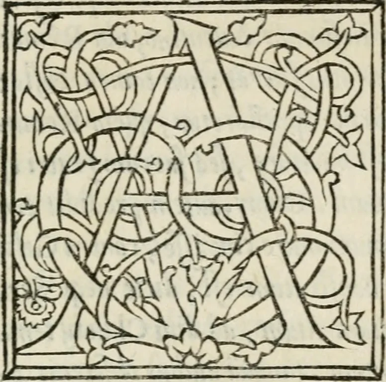 An illustration from Antiqvae Romae topographia libri septem, 1534, leaf 234