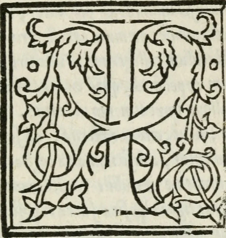 An illustration from Antiqvae Romae topographia libri septem, 1534, leaf 284