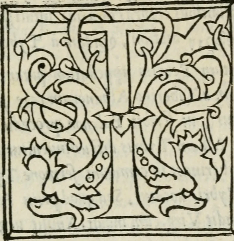 An illustration from Antiqvae Romae topographia libri septem, 1534, leaf 328
