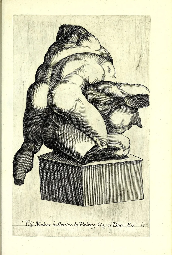 An illustration from Antiqvarvm statvarvm vrbis Romae primvs et secvndvs liber, 1585, leaf 243