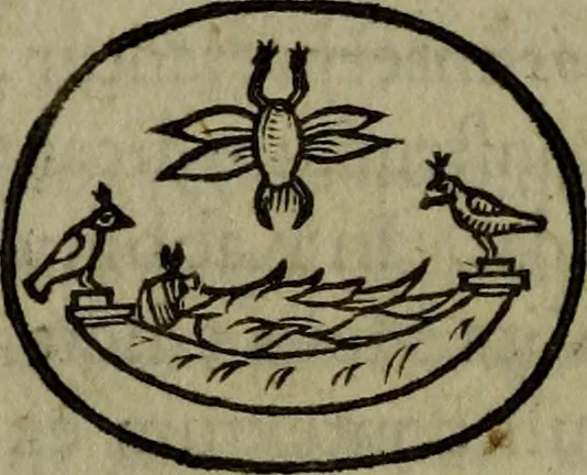 An illustration from Thomae Bartholini Antiqvitatvm Veteris pverperii synopsis a filio Casparo Bartholino commentario illustrata, 1676, leaf 114