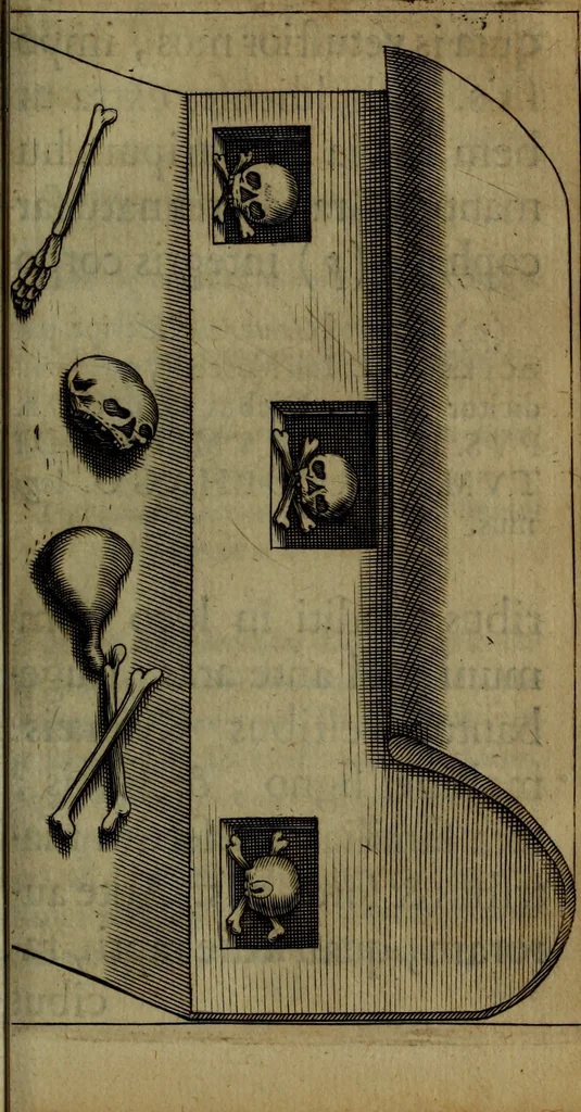An illustration from Thomae Bartholini Antiqvitatvm Veteris pverperii synopsis a filio Casparo Bartholino commentario illustrata, 1676, leaf 197