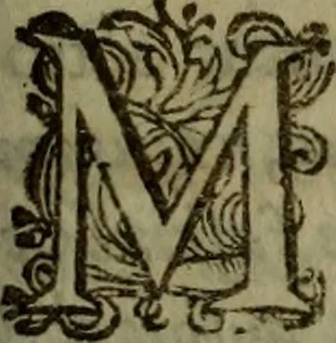 An illustration from Thomae Bartholini Antiqvitatvm Veteris pverperii synopsis a filio Casparo Bartholino commentario illustrata, 1676, leaf 28
