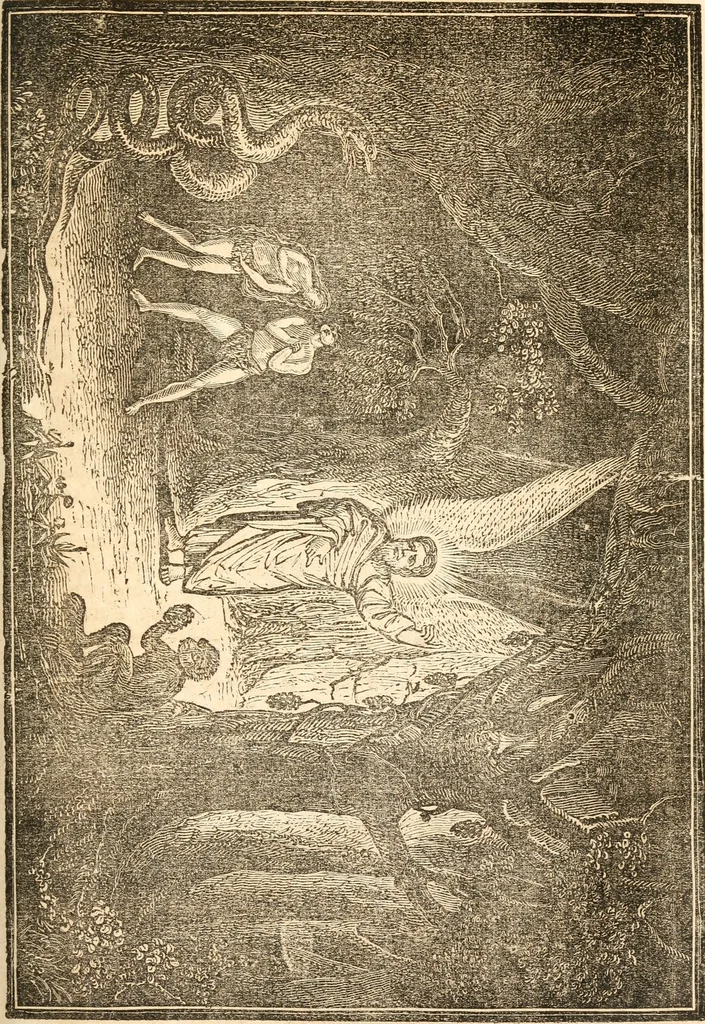 An illustration from The anti-universalist, or, History of the fallen angels of the Scriptures : proofs of the being of Satan and of evil spirits, and many other curious matters connected therewith, 1839, leaf 234