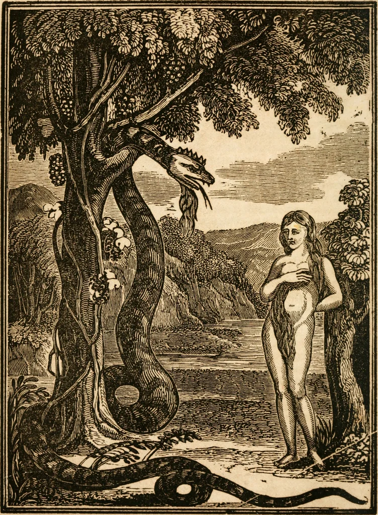 An illustration from The anti-universalist, or, History of the fallen angels of the Scriptures : proofs of the being of Satan and of evil spirits, and many other curious matters connected therewith, 1839, leaf 39