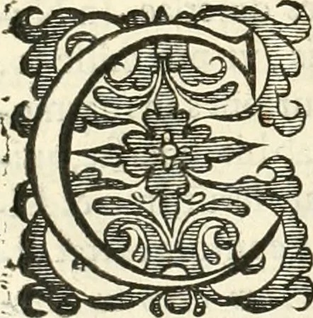An illustration from Antonii Augustinii Archiepisc. Tarracon. Antiqvitatvm romanorvm hispanarvmqve in nvmmis vetervm, dialogi XI, 1617, leaf 189