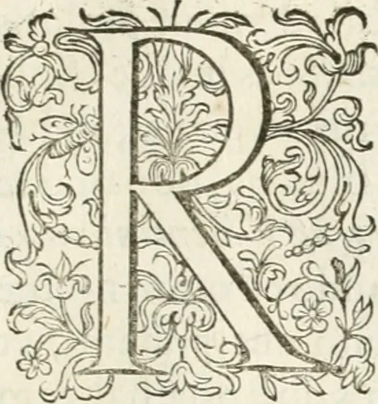 An illustration from Antonii Augustinii Archiepisc. Tarracon. Antiqvitatvm romanorvm hispanarvmqve in nvmmis vetervm, dialogi XI, 1617, leaf 224