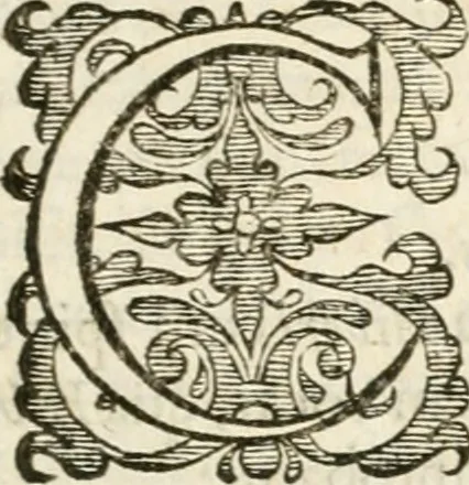 An illustration from Antonii Augustinii Archiepisc. Tarracon. Antiqvitatvm romanorvm hispanarvmqve in nvmmis vetervm, dialogi XI, 1617, leaf 56
