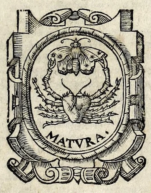An illustration from Antonii Augustini, ivrecos., Emendationum & opinionum lib. IIII ; Eiusdem Ad Modestinum, siue, De excus. liber singularis. Item, Laelij Taurelli Ad Gallum & legem Velleam, Ad Catonem & Paulum, De militiis ex casu .., 1591, leaf 3