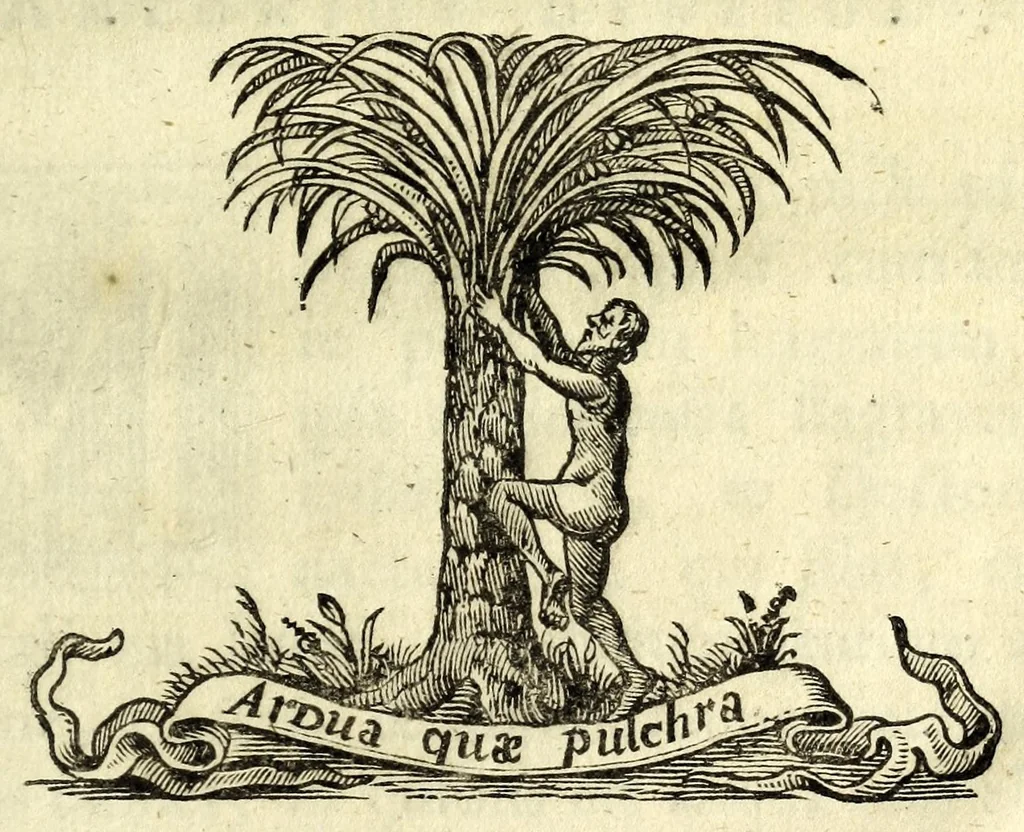 An illustration from Antonii Bynaei De calceis Hebraeorum libri duo : curis secundis recogniti, et aucti : accedit ejusdem Somnium, tertio recusum, 1695, leaf 325