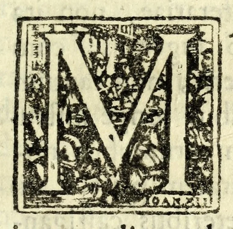 An illustration from Antonii Bynaei De calceis Hebraeorum libri duo : curis secundis recogniti, et aucti : accedit ejusdem Somnium, tertio recusum, 1695, leaf 327