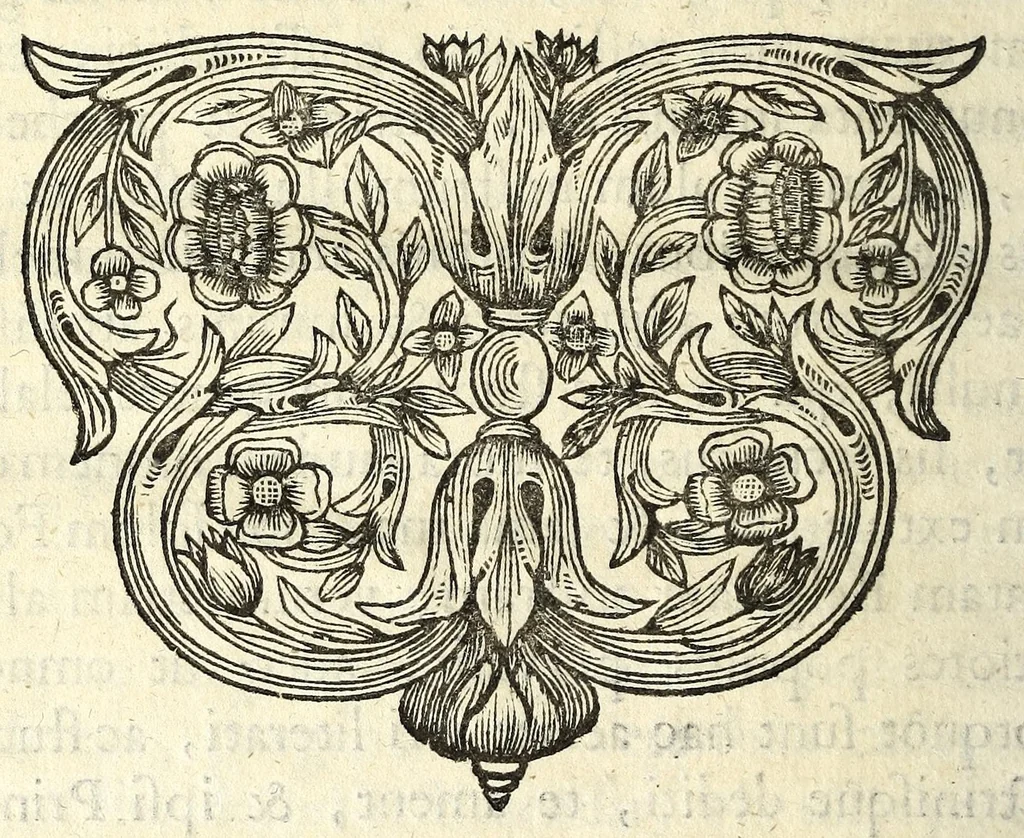 An illustration from Antonii Bynaei De calceis Hebraeorum libri duo : curis secundis recogniti, et aucti : accedit ejusdem Somnium, tertio recusum, 1695, leaf 330
