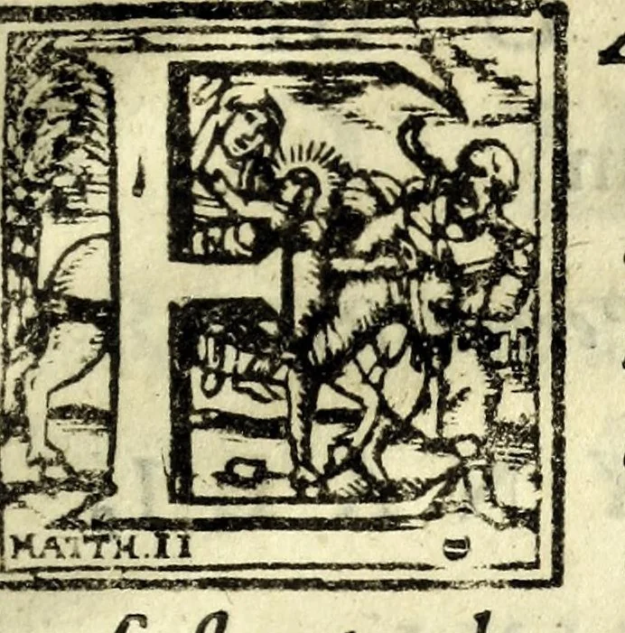 An illustration from Antonii Bynaei De calceis Hebraeorum libri duo : curis secundis recogniti, et aucti : accedit ejusdem Somnium, tertio recusum, 1695, leaf 331