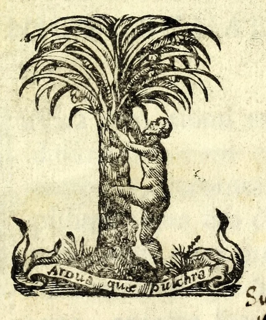An illustration from Antonii Bynaei De calceis Hebraeorum libri duo : curis secundis recogniti, et aucti : accedit ejusdem Somnium, tertio recusum, 1695, leaf 5