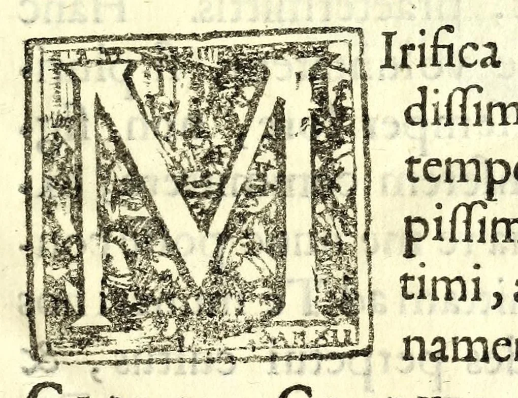 An illustration from Antonii Bynaei De calceis Hebraeorum libri duo : curis secundis recogniti, et aucti : accedit ejusdem Somnium, tertio recusum, 1695, leaf 7