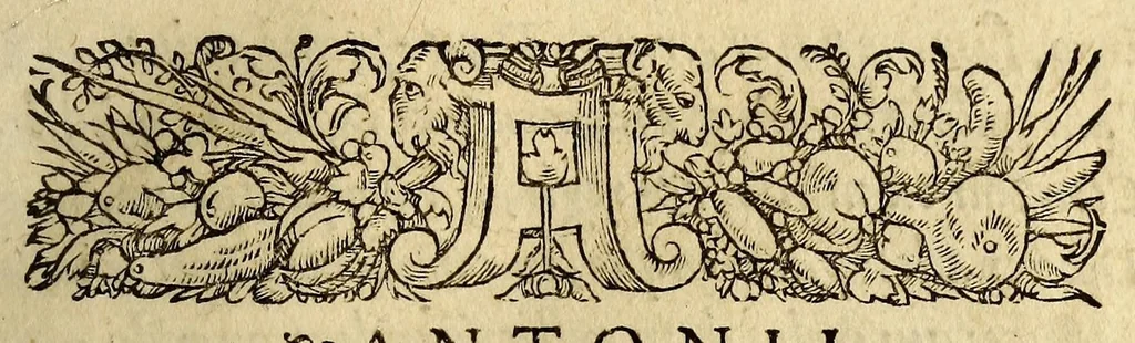 An illustration from Antonii Mizaldi Monluciani, de mundi sphœra, seu cosmographia, libri tres : figuris & demonstrationibus illustrati, 1553, leaf 21